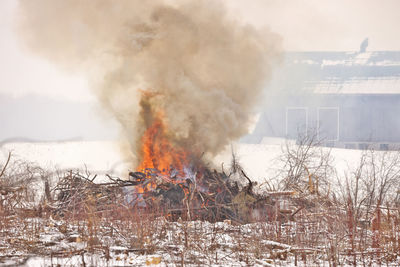 Controlled burn on a farm property to create more arable land