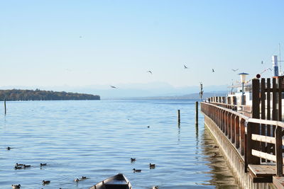 Seagulls flying over sea against clear sky