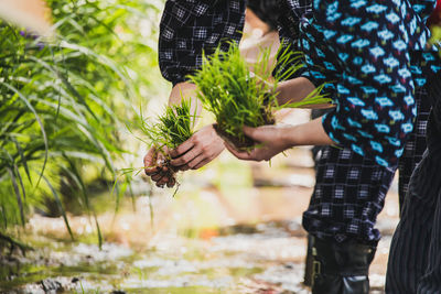 Midsection of woman holding plant