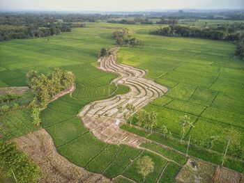 High angle view of agricultural field