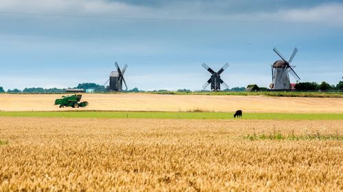 Rural landscape with traditional windmill
