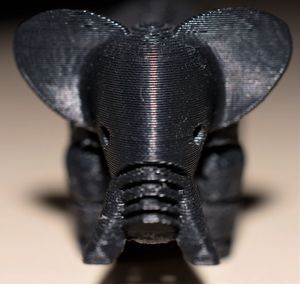 Close-up of insect
