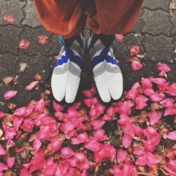 Low section of person standing on pink flowering plants