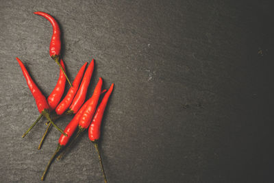 High angle view of red chili peppers