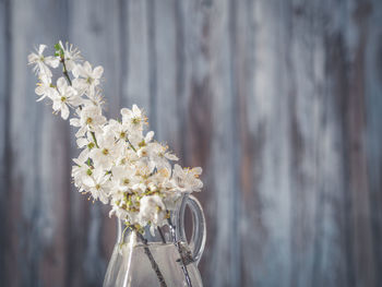 Close-up of white flower vase against wall