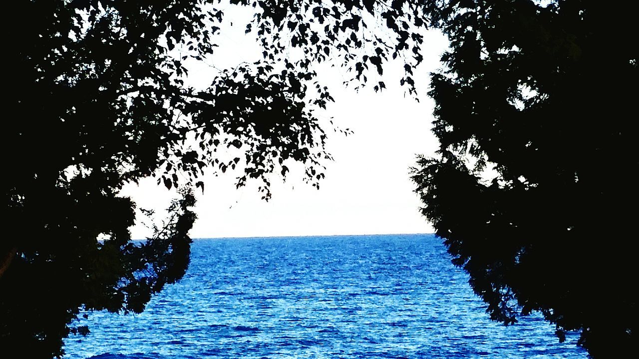 water, sea, tranquility, tranquil scene, horizon over water, tree, scenics, waterfront, beauty in nature, nature, rippled, sky, branch, clear sky, idyllic, blue, outdoors, no people, silhouette, day