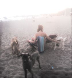 Young woman with dog on beach