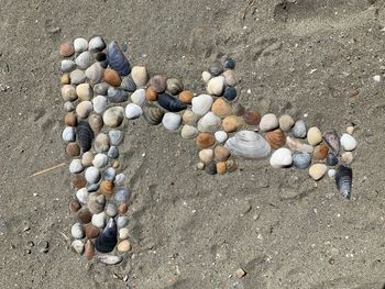 High angle view of shells on sand