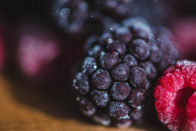 Close-up of berries on table