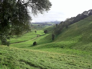 Scenic view of landscape against sky