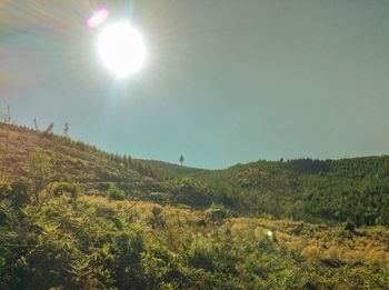 Scenic view of landscape against bright sun