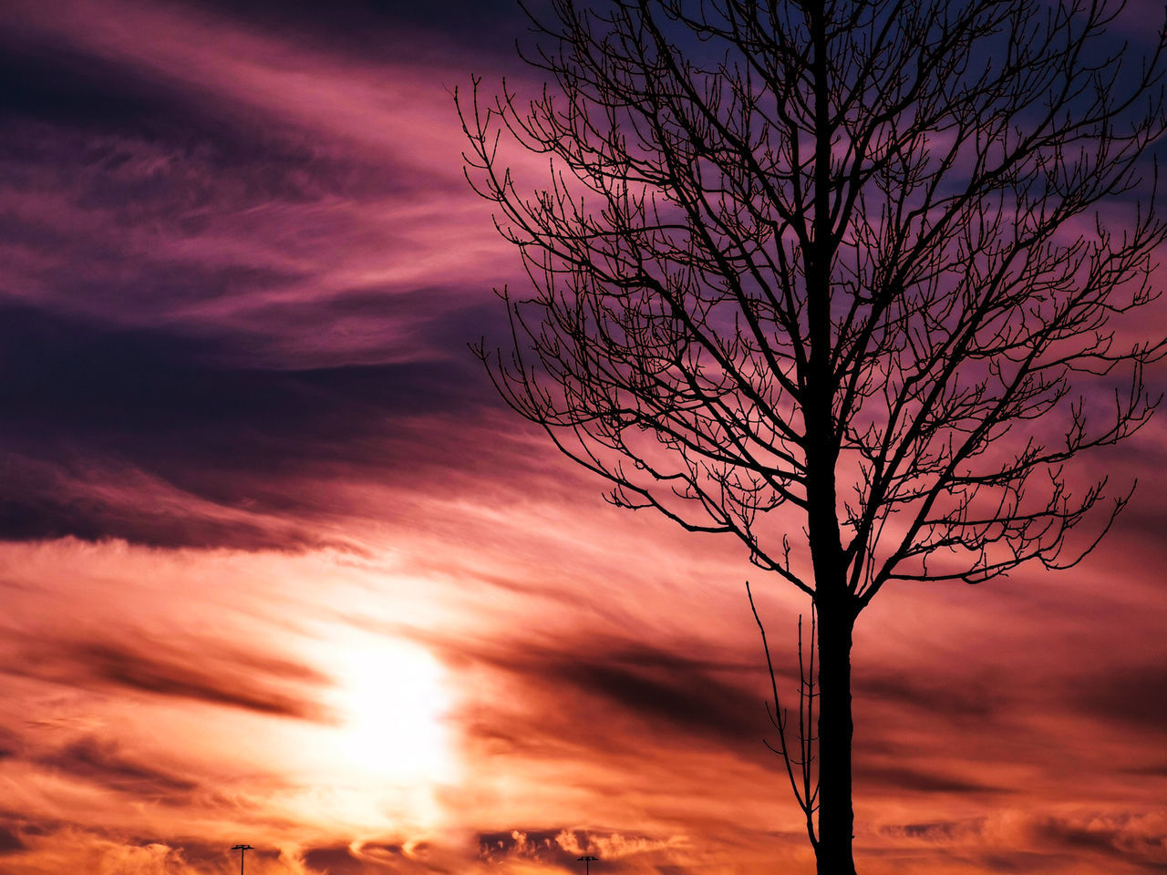 cloud - sky, sky, sunset, beauty in nature, silhouette, bare tree, orange color, scenics - nature, branch, tree, nature, no people, tranquility, tranquil scene, dramatic sky, low angle view, plant, outdoors, idyllic, purple, romantic sky