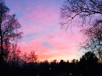 Silhouette of bare tree at sunset