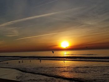 Scenic view of beach during sunset