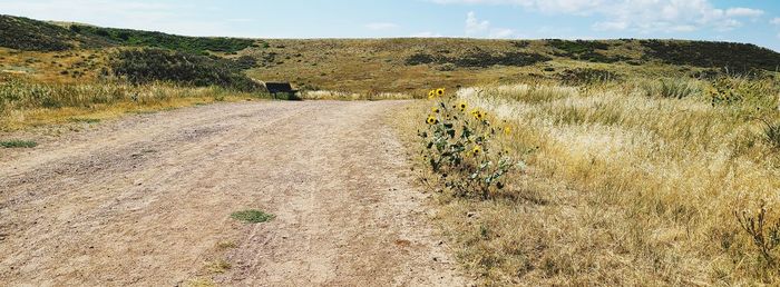 Scenic view of land against sky