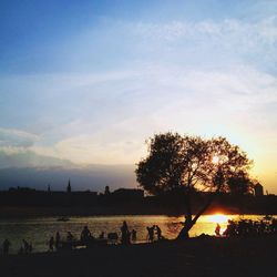 Silhouette of trees at sunset