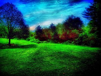 Scenic view of grassy field against sky