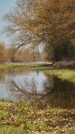 Scenic view of lake