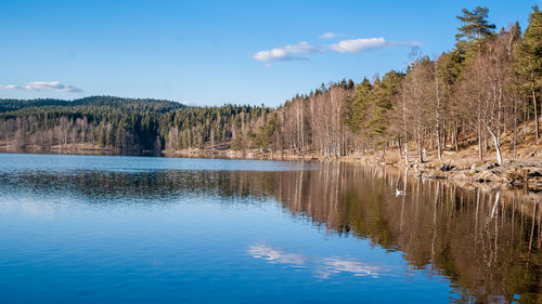 Scenic view of lake by trees against sky
