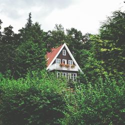 Information sign against trees and plants against sky