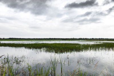 Scenic view of lake against sky