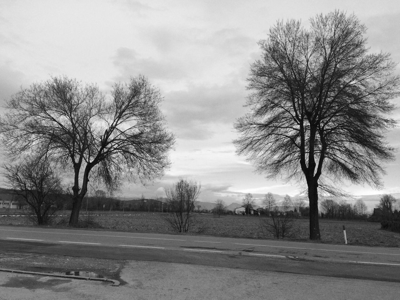 tree, bare tree, sky, the way forward, tranquility, transportation, road, landscape, branch, tranquil scene, cloud - sky, nature, field, scenics, empty, beauty in nature, day, diminishing perspective, cloud, cloudy