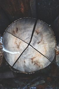 Close-up of tree stump