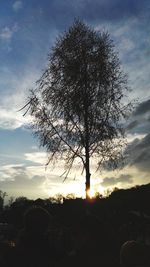 Silhouette tree against sky during sunset