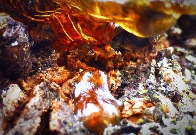 Rock formations in water