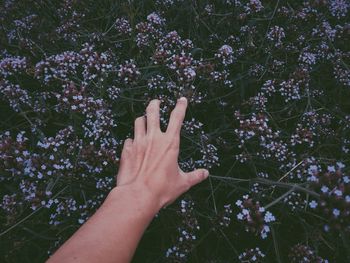 Close up of woman holding white flower