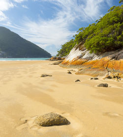 Scenic view of beach against sky