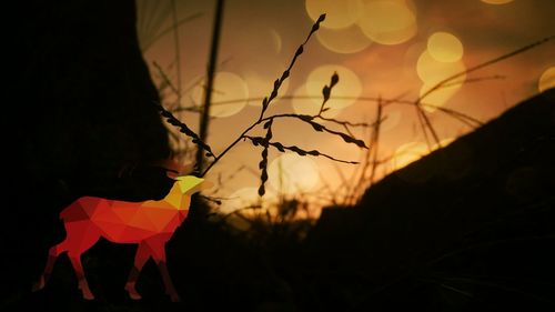 Close-up of plant against blurred background