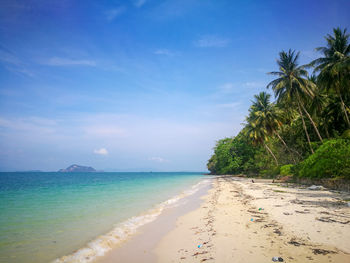 Scenic view of beach against blue sky