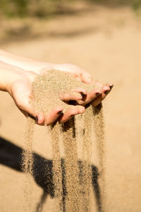 Midsection of person holding stick on beach