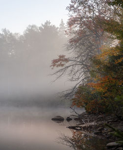 Scenic view of lake against sky during autumn