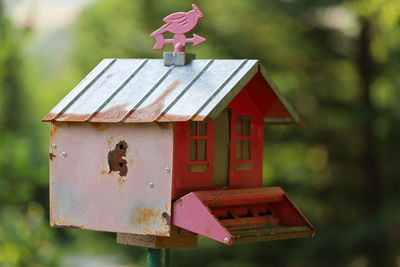 Close-up of birdhouse on tree