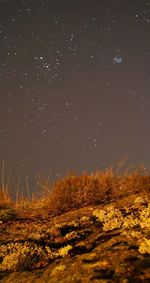 Scenic view of field against sky at night