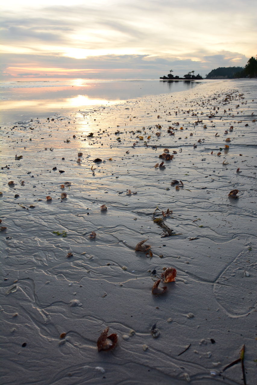 VIEW OF BEACH AGAINST SKY