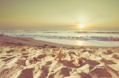 Scenic view of beach against sky during sunset