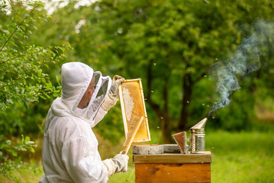 Beekeeper working at beehive against trees