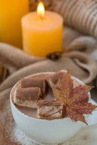 Celebrating autumn holidays at cozy home with cup hot chocolate marshmallows cacao on the windowsill 