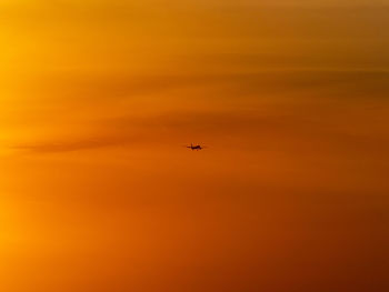 Low angle view of silhouette airplane against orange sky