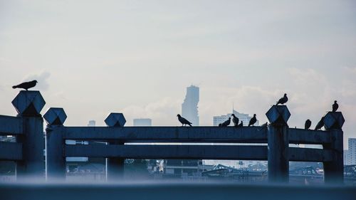 Birds perching on statue against sky in city