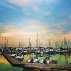 Boats moored at harbor