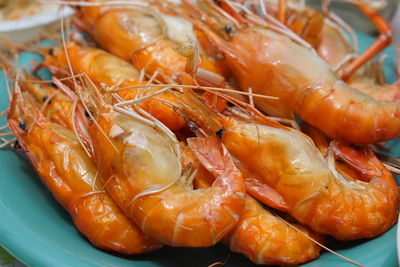 High angle view of seafood in plate