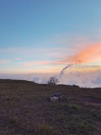 Scenic view of field against sky during sunset