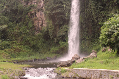 Scenic view of waterfall