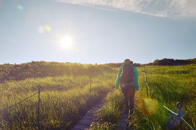 Rear view of hiker walking on boardwalk against sky on sunny day