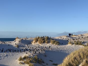 Panoramic view of beach against clear blue sky