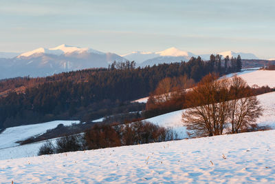 Turiec region and view of mala fatra mountain range in winter.